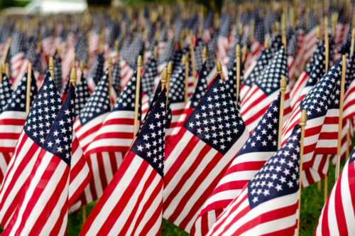 Memorial Day flags